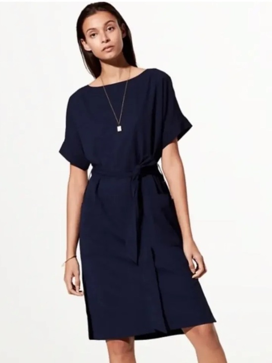 Aritzia Dresses & Skirts - Aritzia Babaton Albin Dress